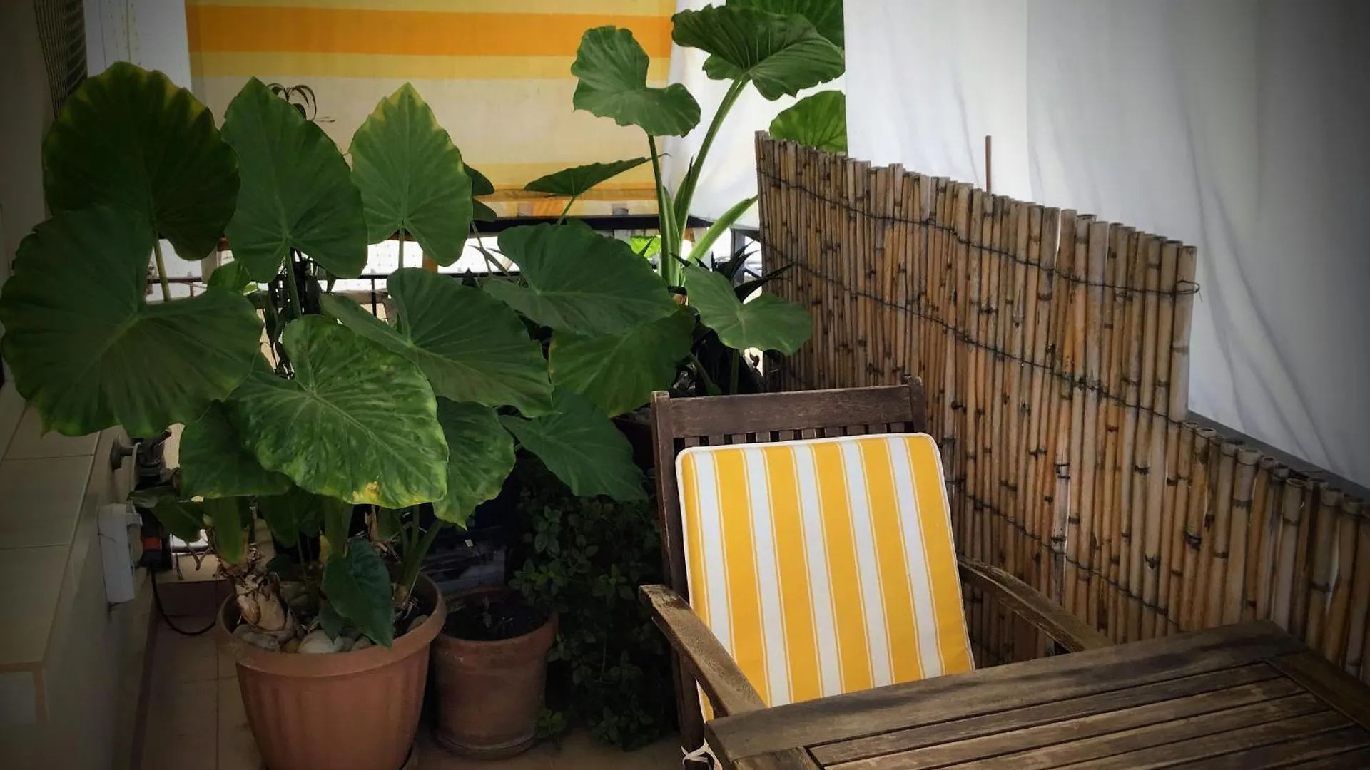 Antalyaloft Apartment Homestay Antalya